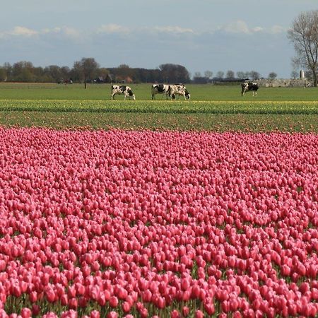 Hotelhuisjes Aartswoud Exteriér fotografie