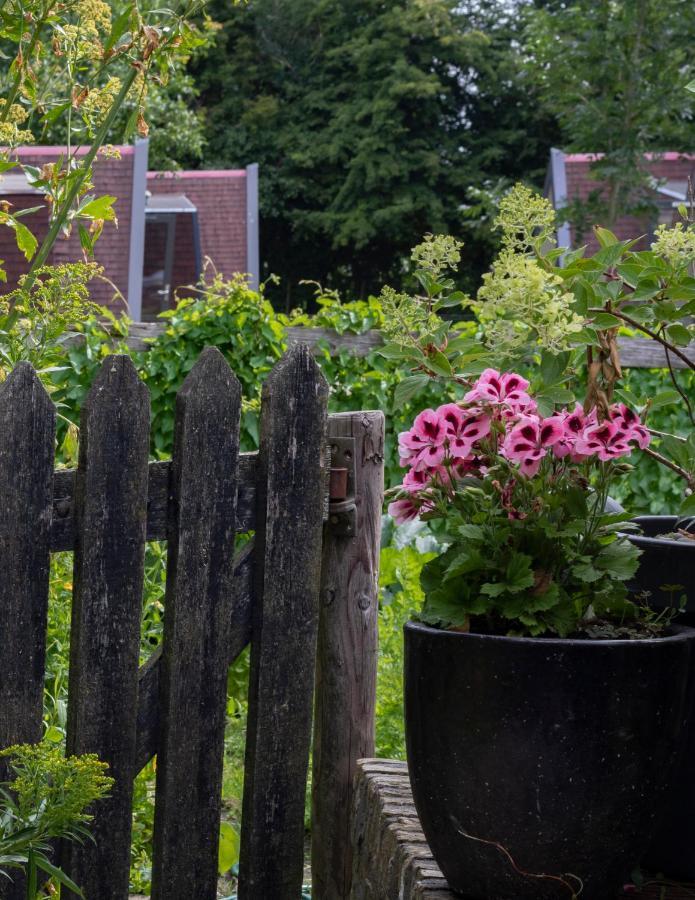 Hotelhuisjes Aartswoud Exteriér fotografie